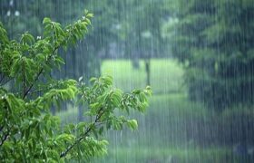 آیا در زمان آمدن باران دعاها بیشتر مستجاب می شود؟