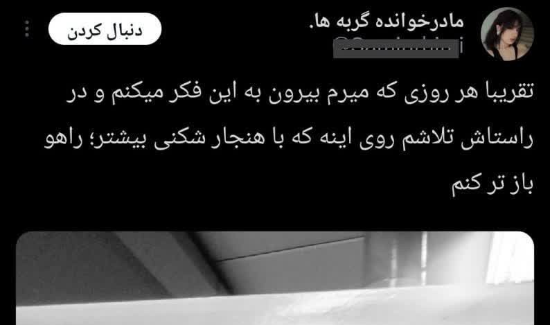 راه بازکن های خیره‌سر و سازمان‌های فرهنگی بی‌ثمر!