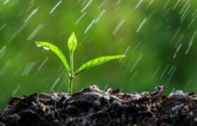 قحطی و خشکسالی؛ بلای آسمانی یا سوءمدیریت زمینی؟