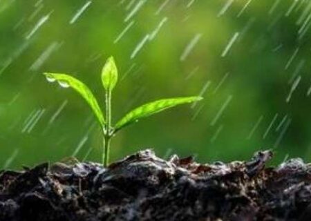 قحطی و خشکسالی؛ بلای آسمانی یا سوءمدیریت زمینی؟