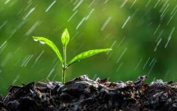 قحطی و خشکسالی؛ بلای آسمانی یا سوءمدیریت زمینی؟