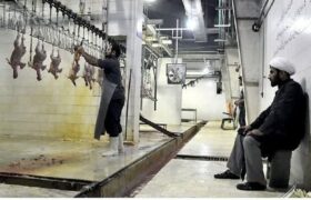 از نتایج بکارگیری طلاب بدون فرهنگسازی!