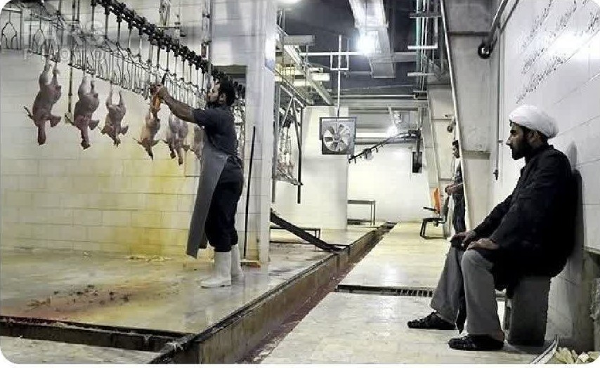 از نتایج بکارگیری طلاب بدون فرهنگسازی!