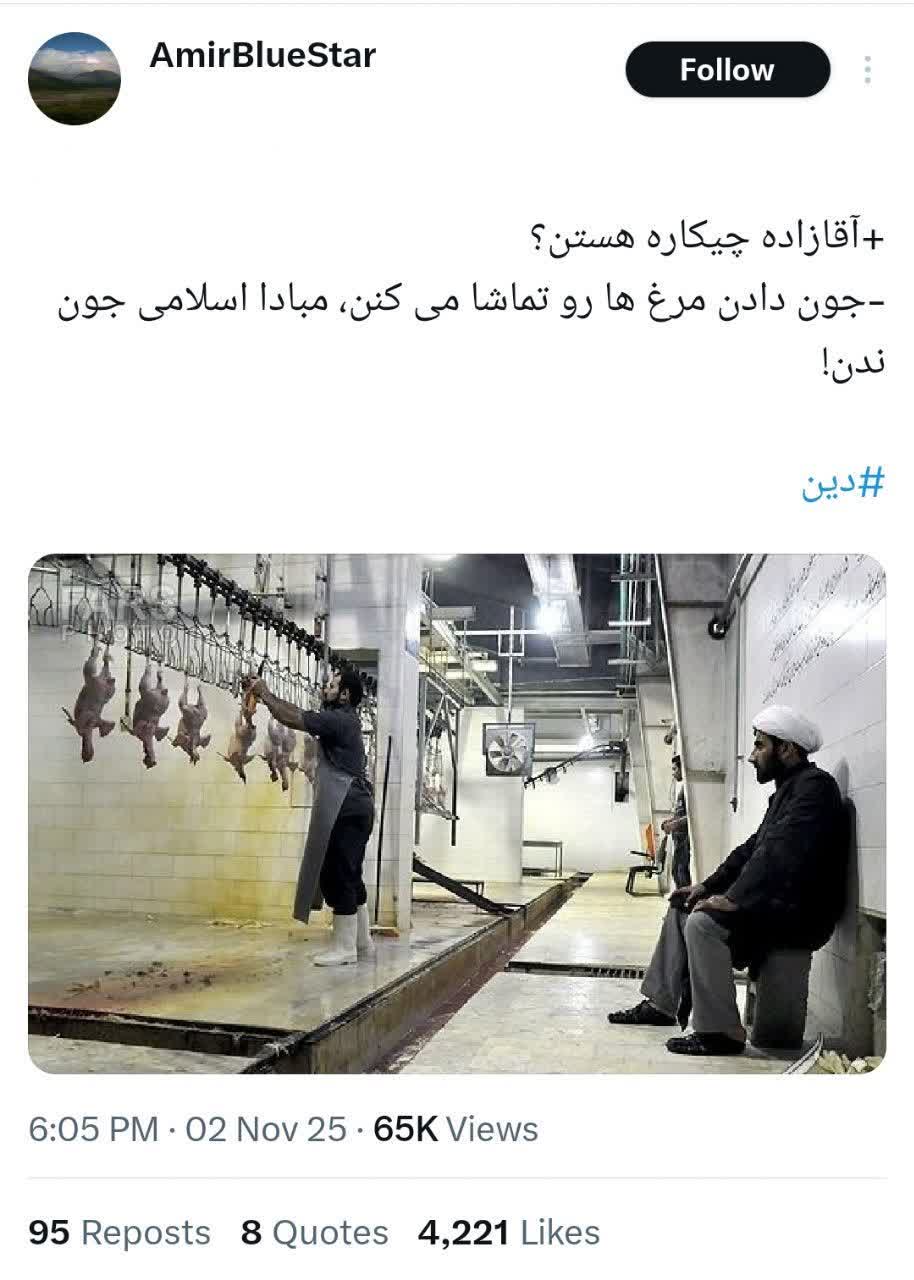 طلاب ناظر شرعی