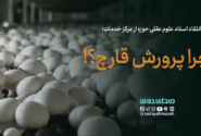 انتقاد استاد علوم عقلی حوزه از مرکز خدمات برای آموزش مهارت پرورش قارچ برای طلاب!
