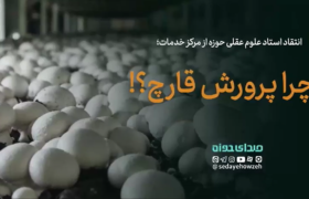انتقاد استاد علوم عقلی حوزه از مرکز خدمات برای آموزش مهارت پرورش قارچ برای طلاب!