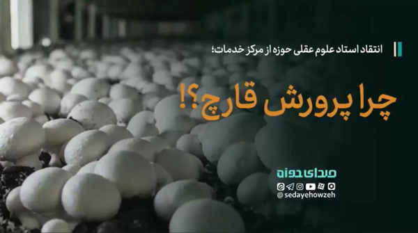 پرورش قارچ معیشت طلاب