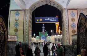 تبارشناسی بست نشینی