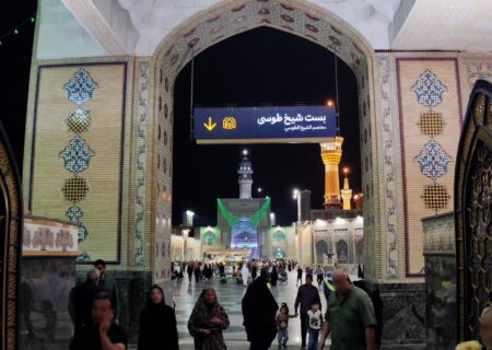 تبارشناسی بست نشینی