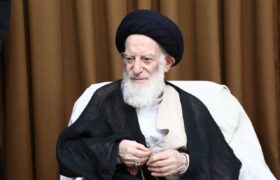 دعای حضرت آیتالله شبیریزنجانی برای موفقیت رهبر انقلاب